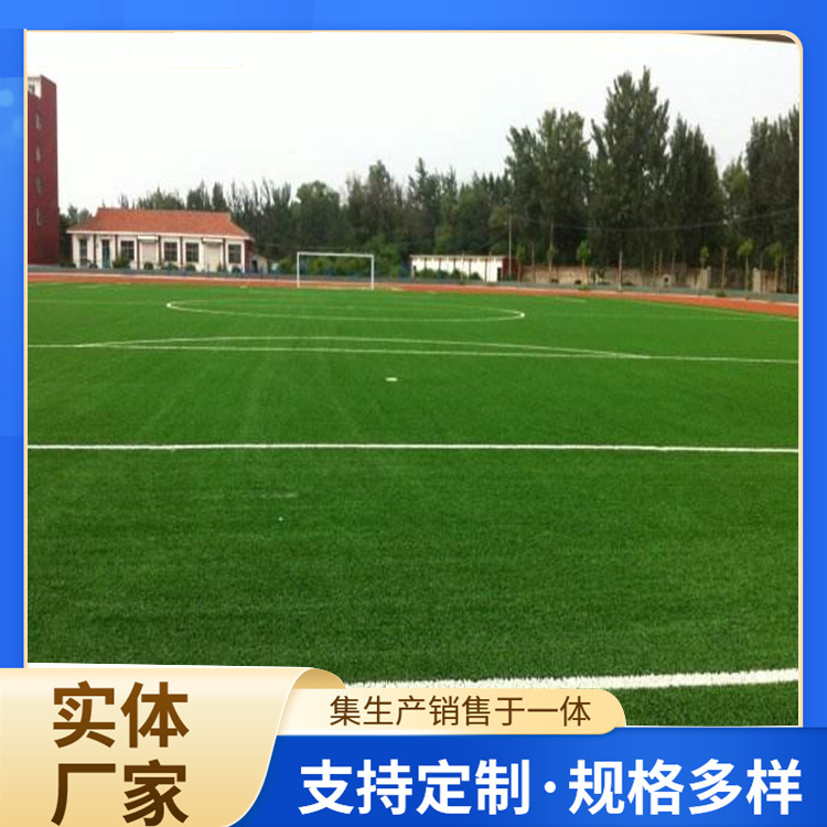 成都市EPDM颗粒人造草坪 - 一站式服务